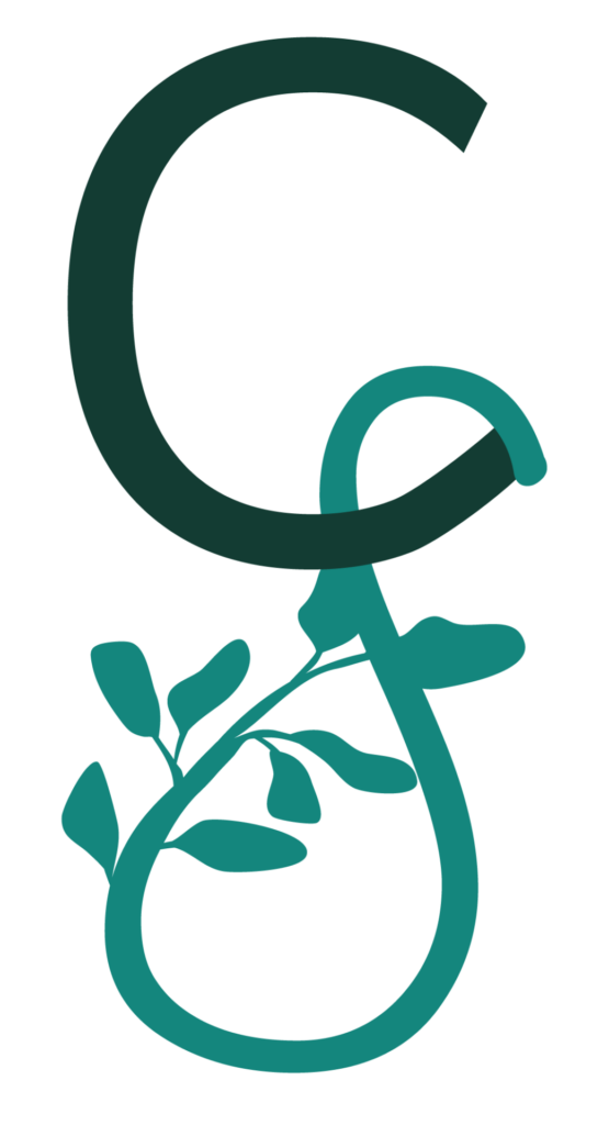 Monogramme identité visuelle Christelle Stasse